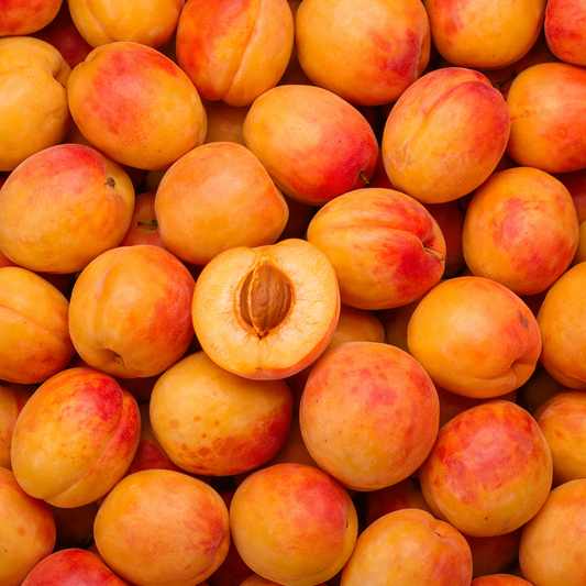 Aprikosen Red Orange