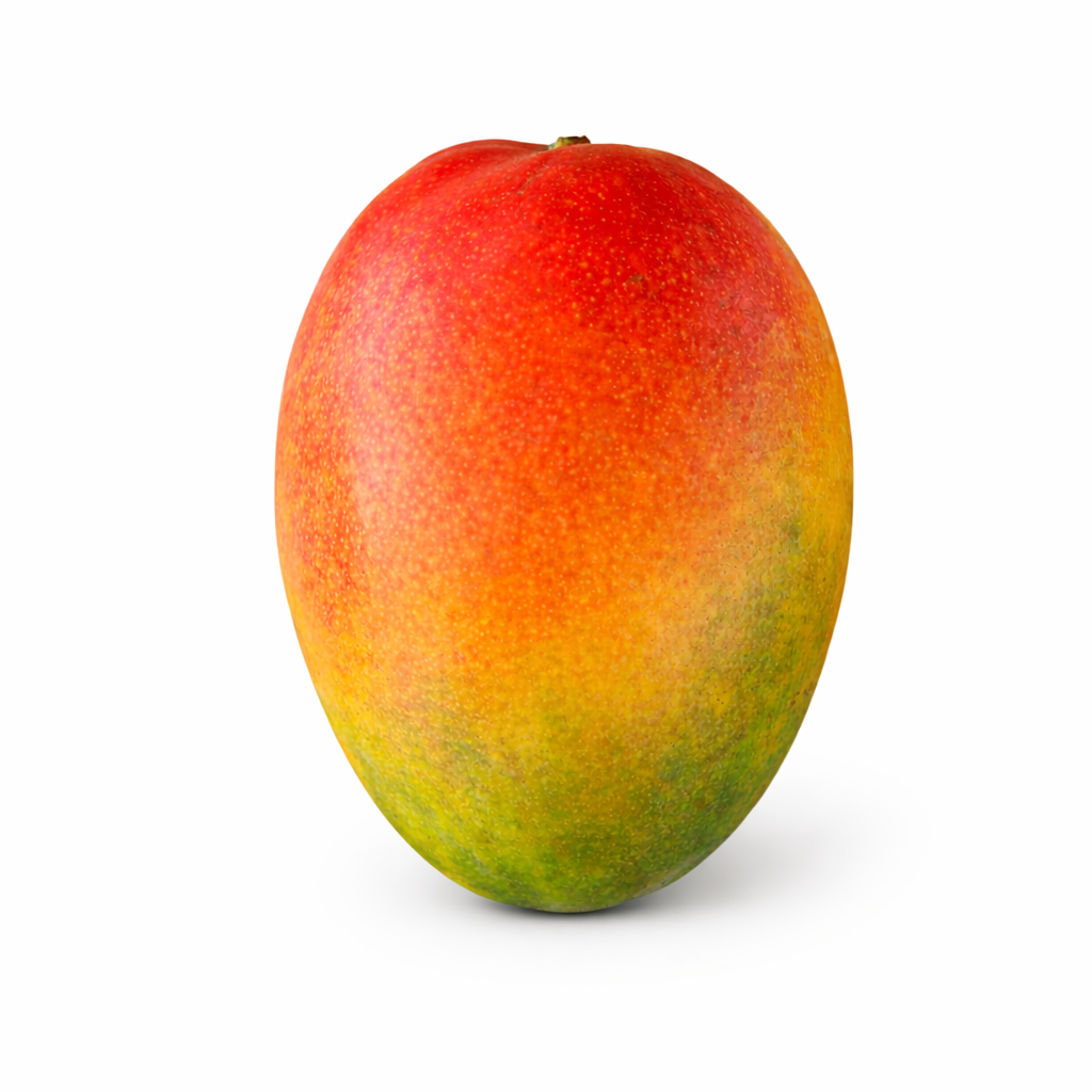 Flug Mango Sorte Kent