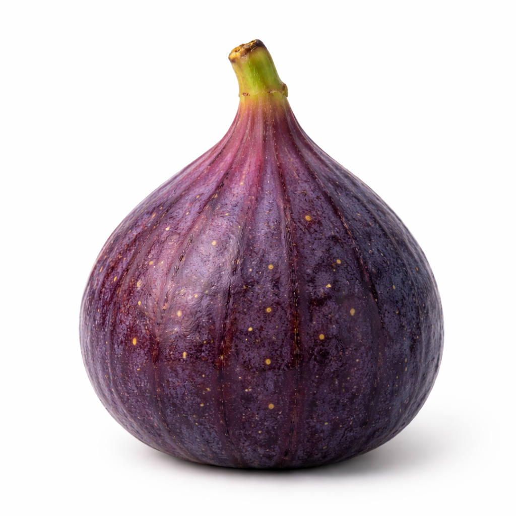 Feigen