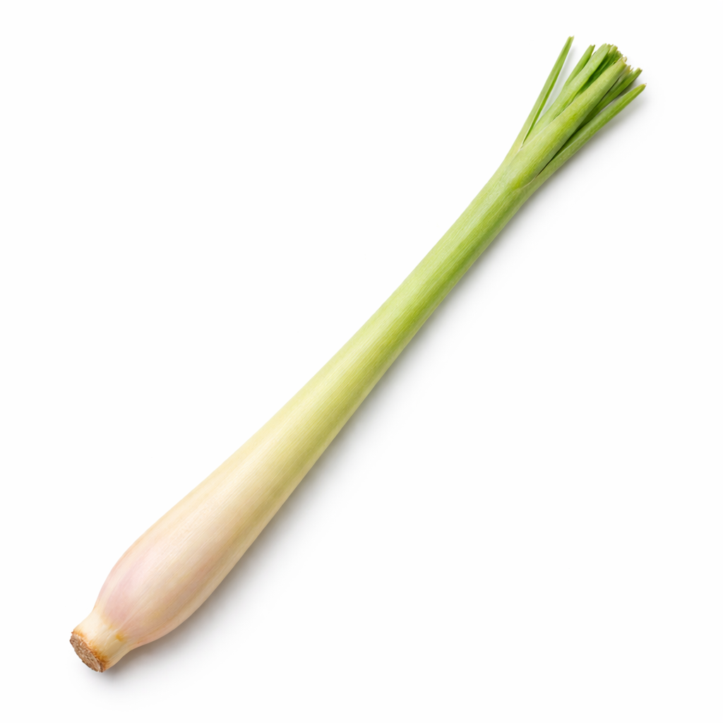 Zitronengras