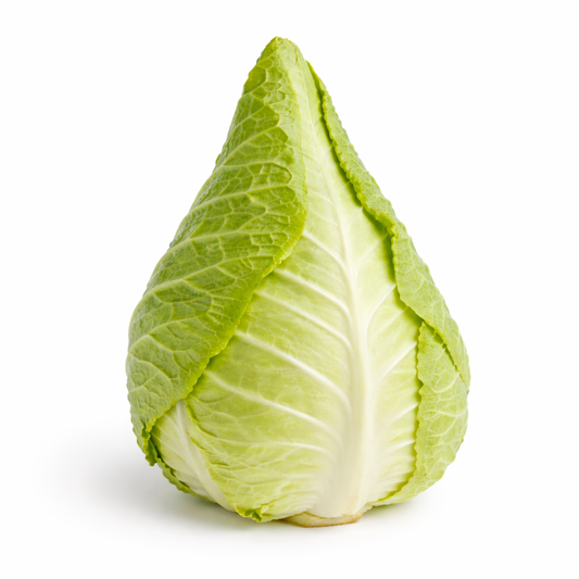 Spitzkohl