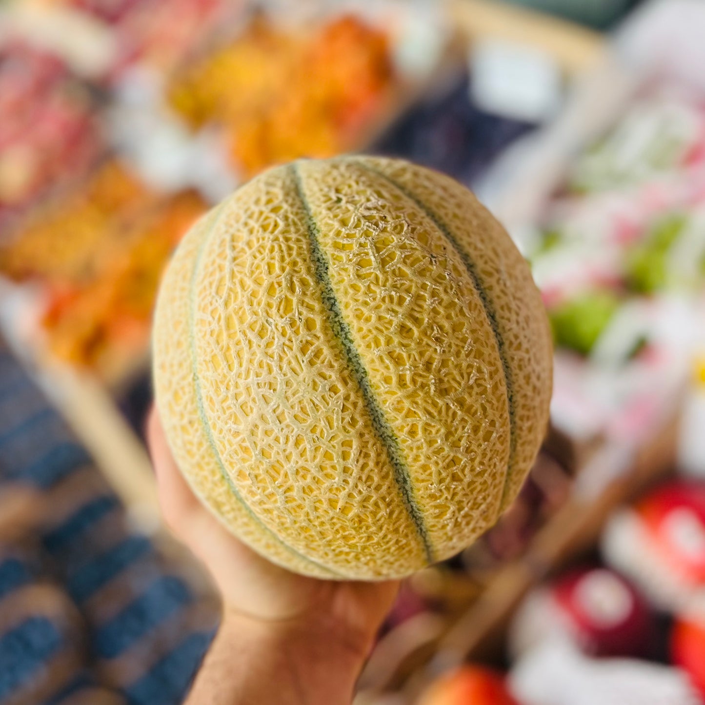 Netzmelone