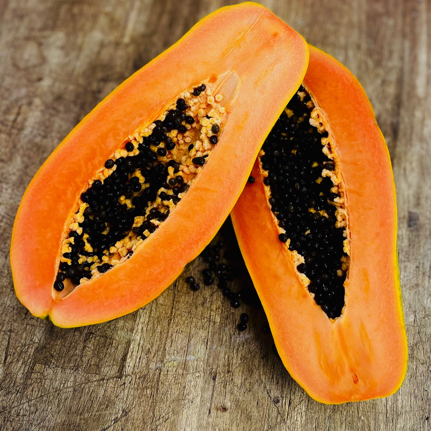 Flug Papaya