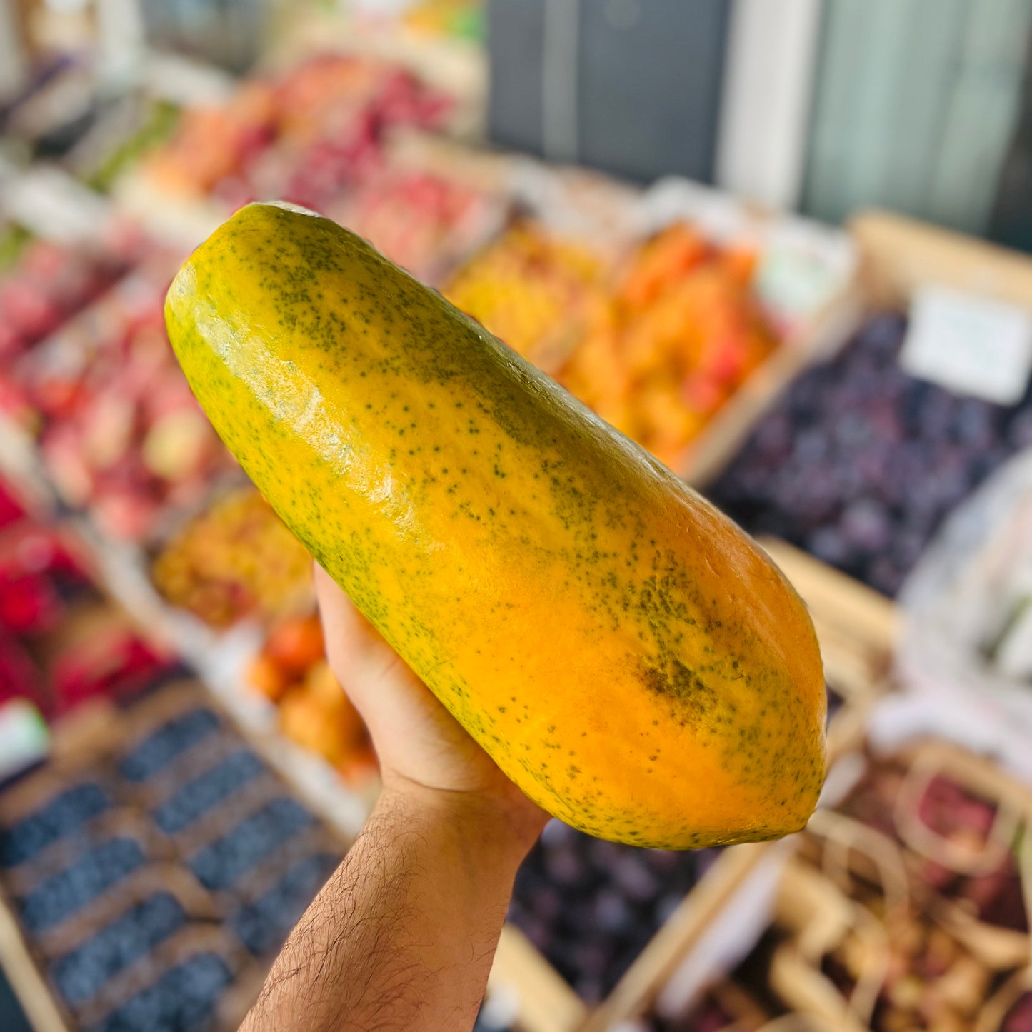 Flug Papaya