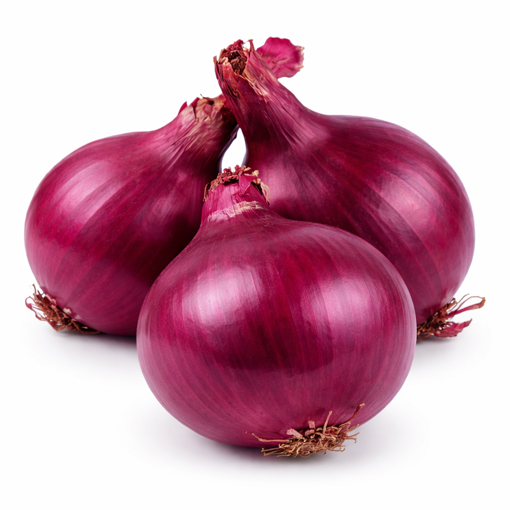 Rote Zwiebel