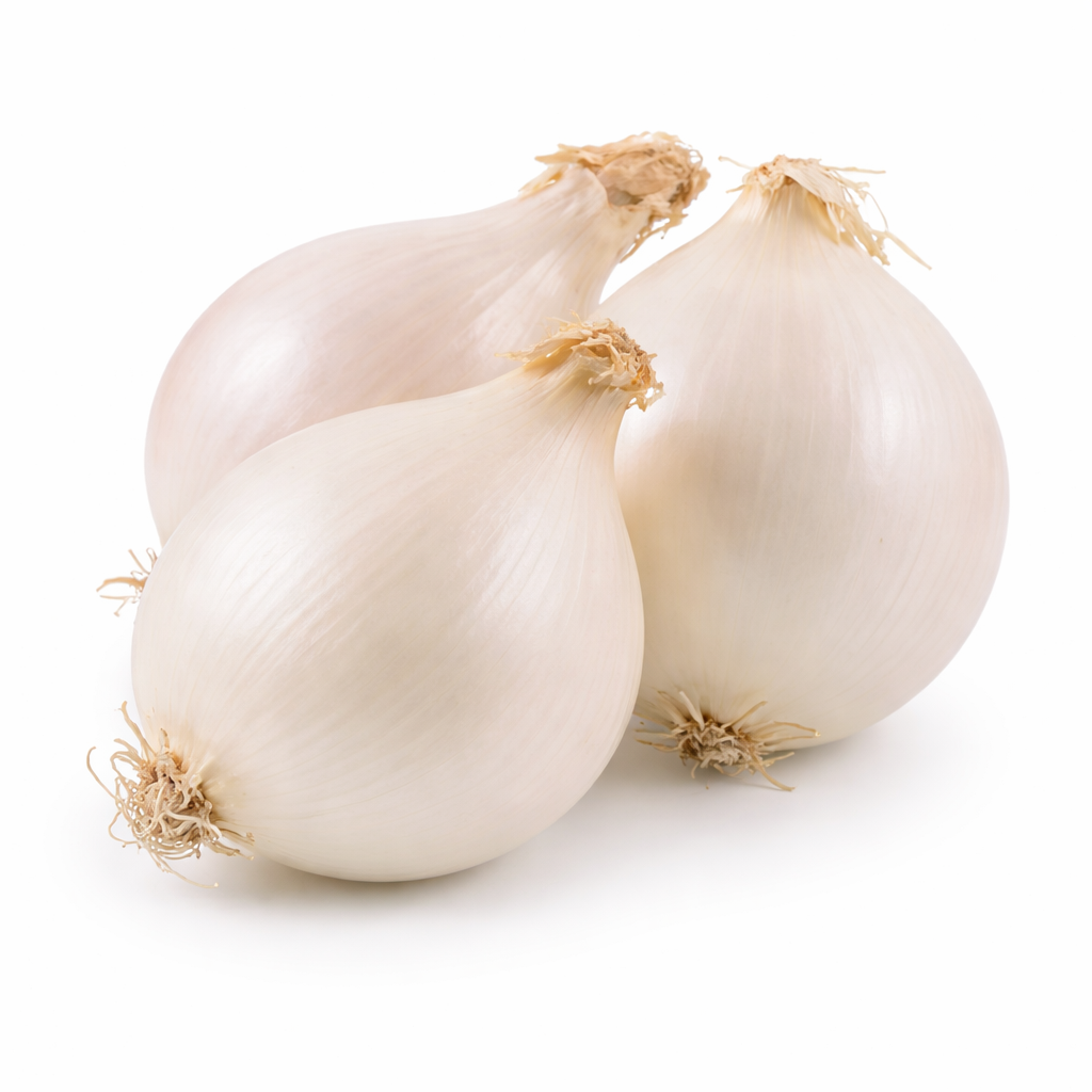 Weiße Zwiebel