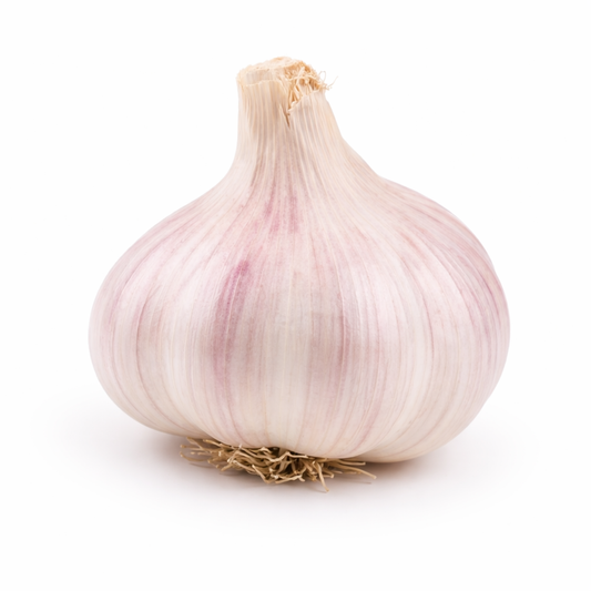 Knoblauch getrocknet