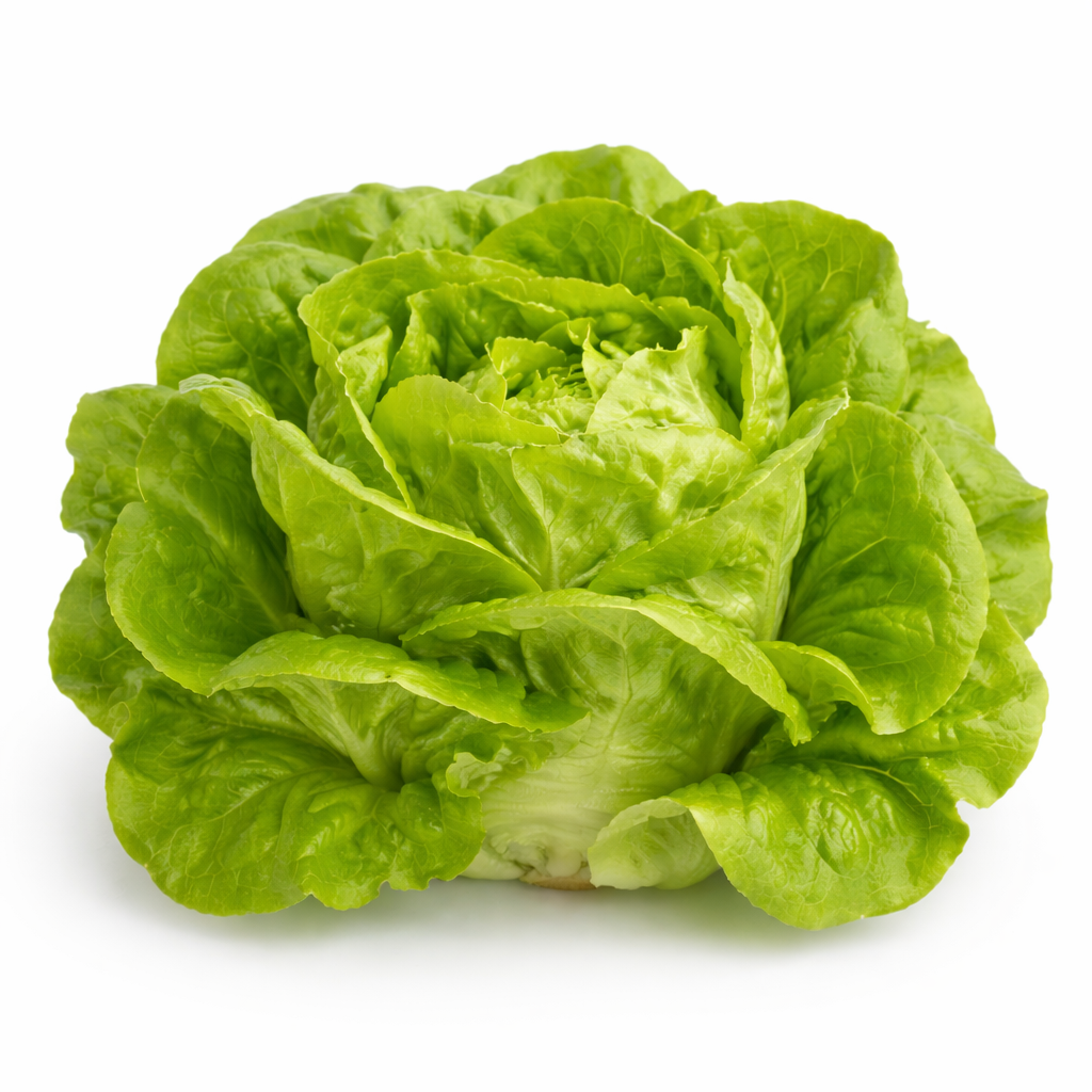 Kopfsalat