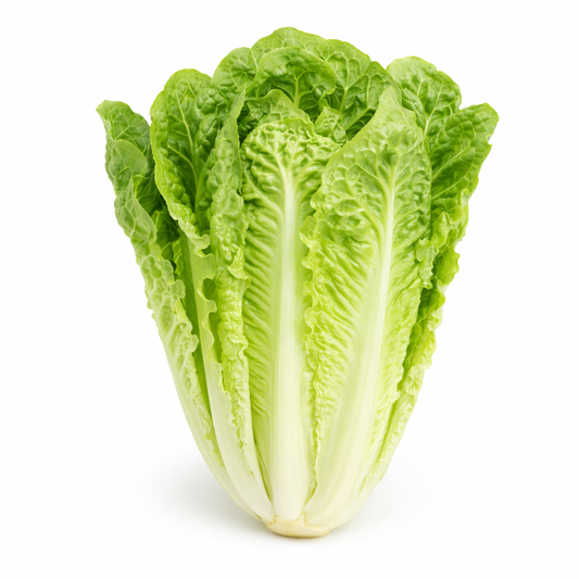 Romana Salat