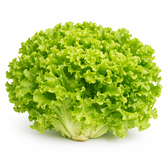 Novita-Salat