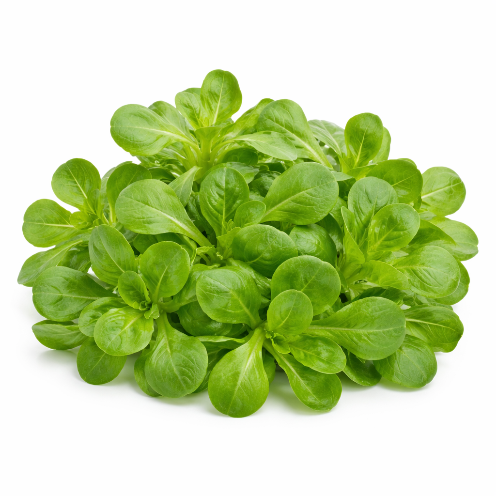 Feldsalat (200g)