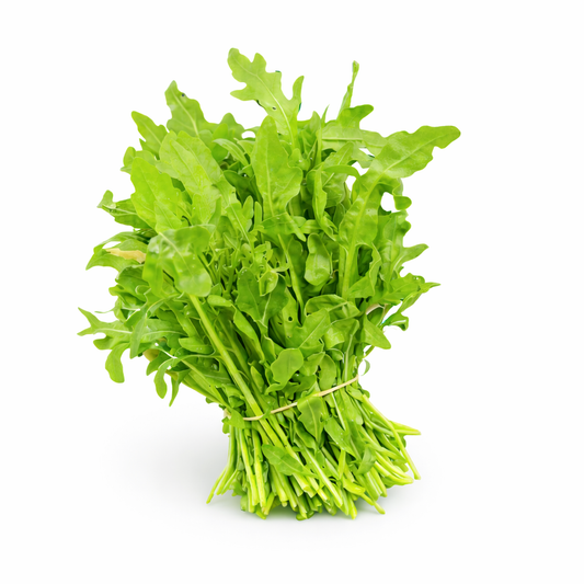 Rucola