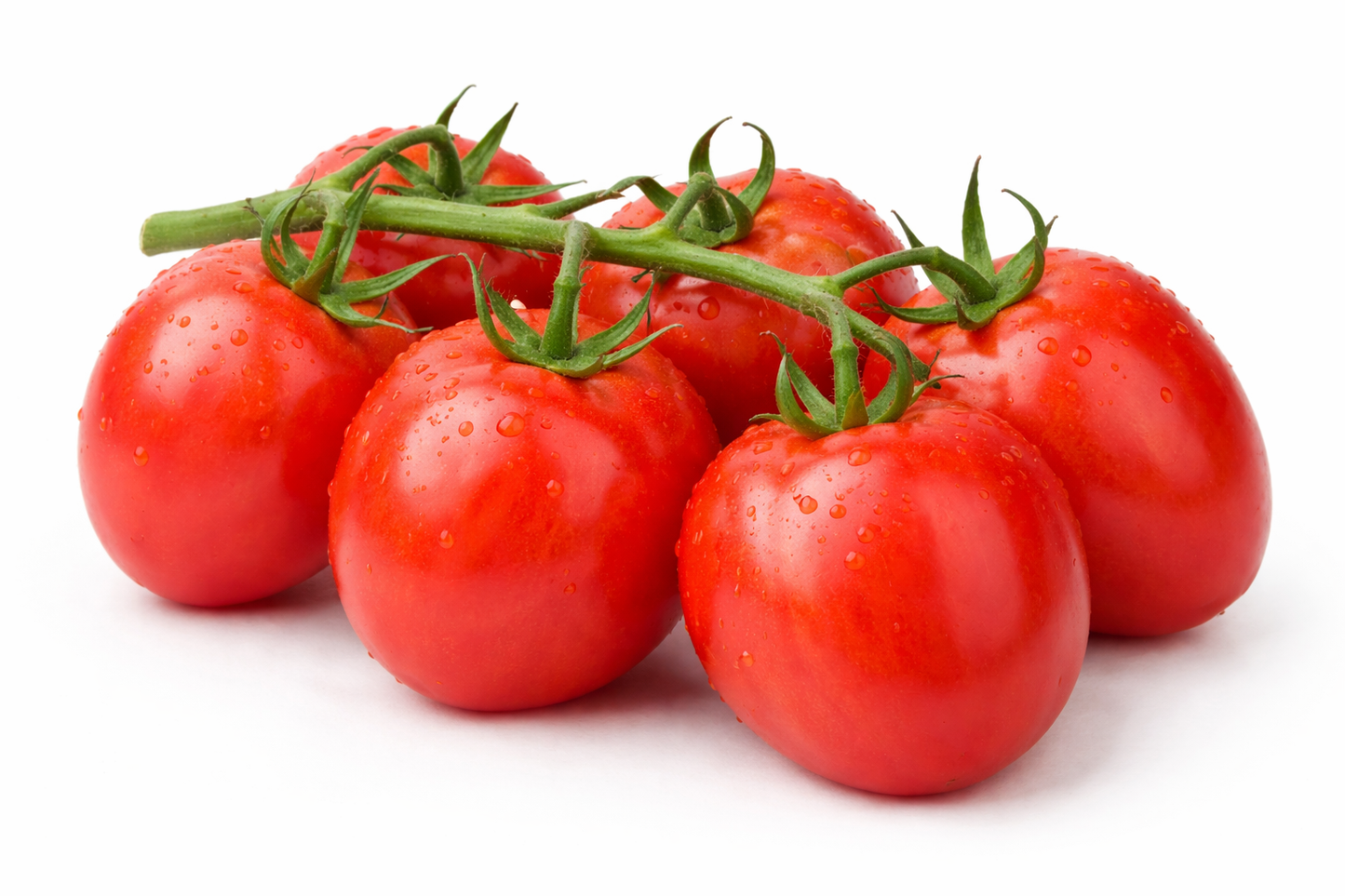Eierstrauch-Tomaten