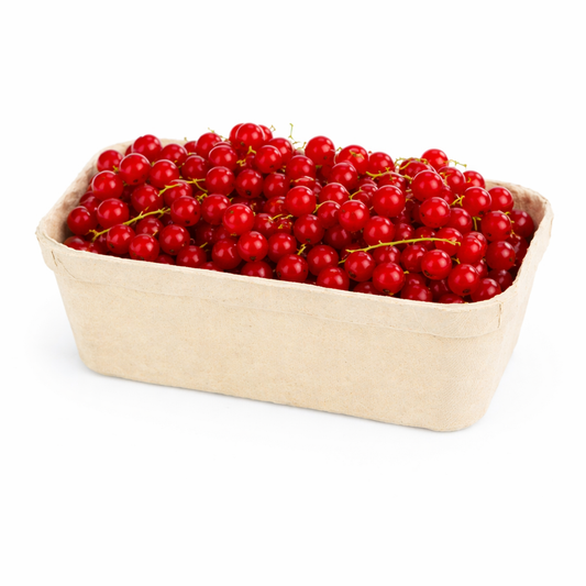 Rote Johannisbeeren 500g