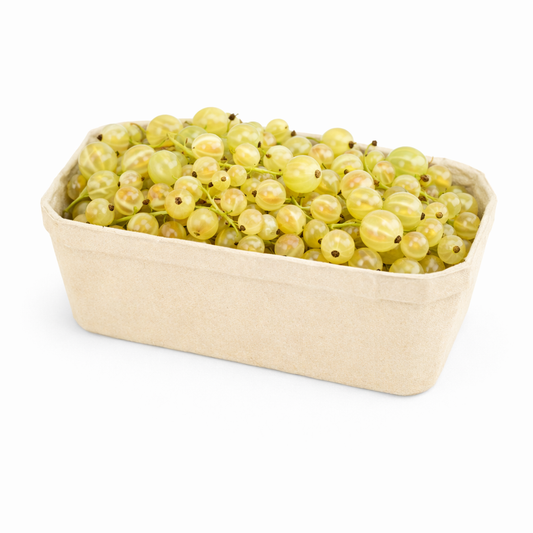 Johannisbeeren Weiß 500g