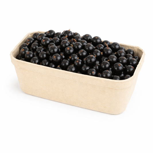 Schwarze Johannisbeeren 500g