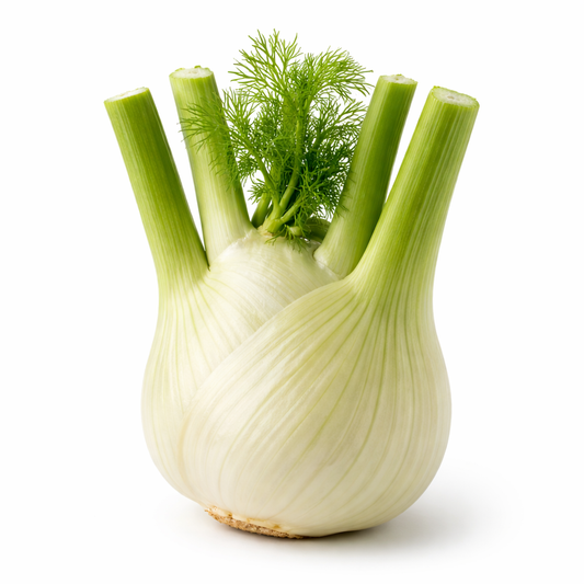 Fenchel