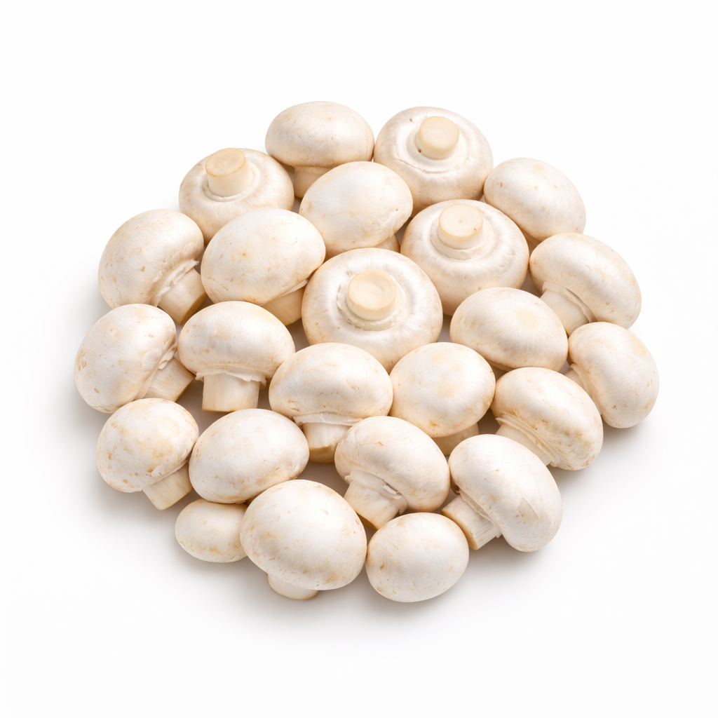Champignon weiß 100g
