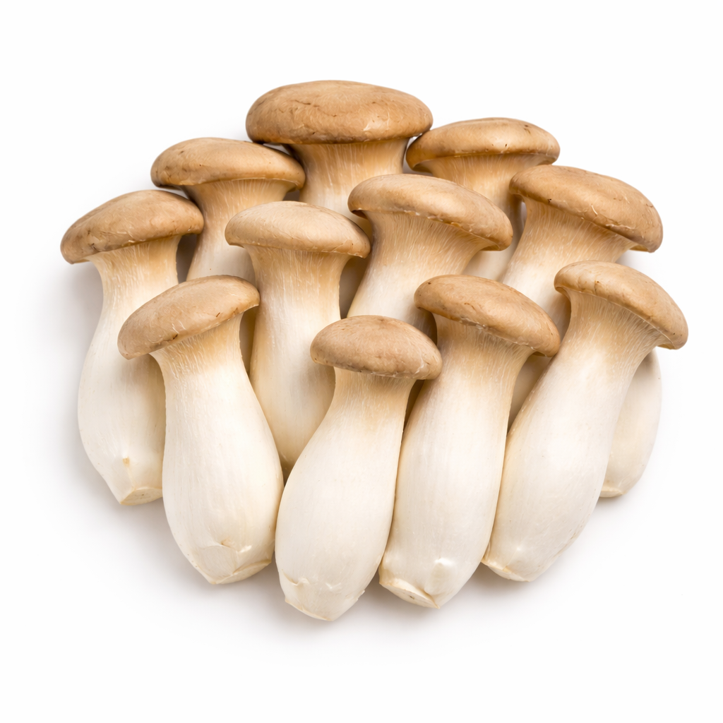 Kräuterseitlinge 100g