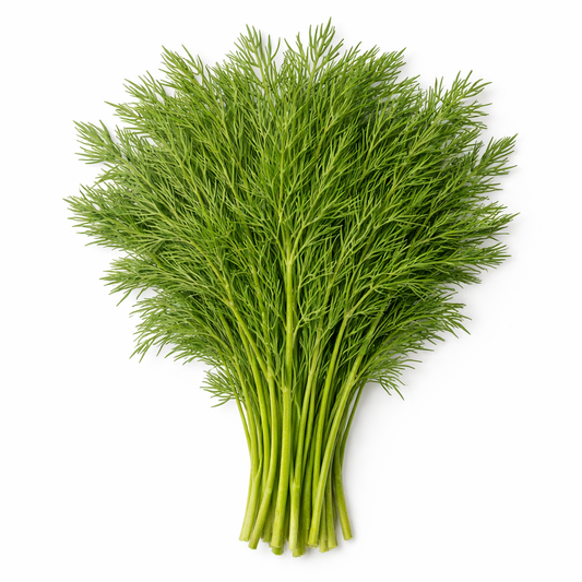 Dill (Bund)